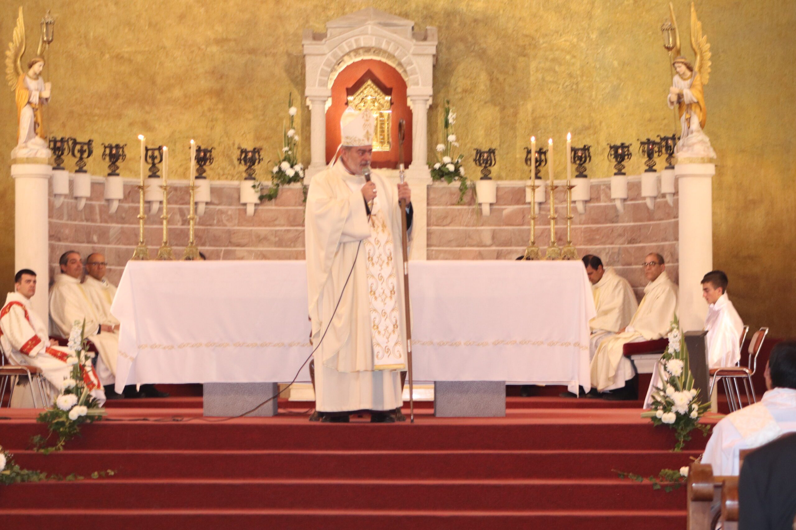 revivi la ordenacion Carlos Maria Dominguez